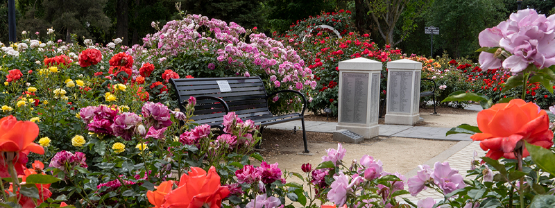 Rose Garden in the Capitol Park